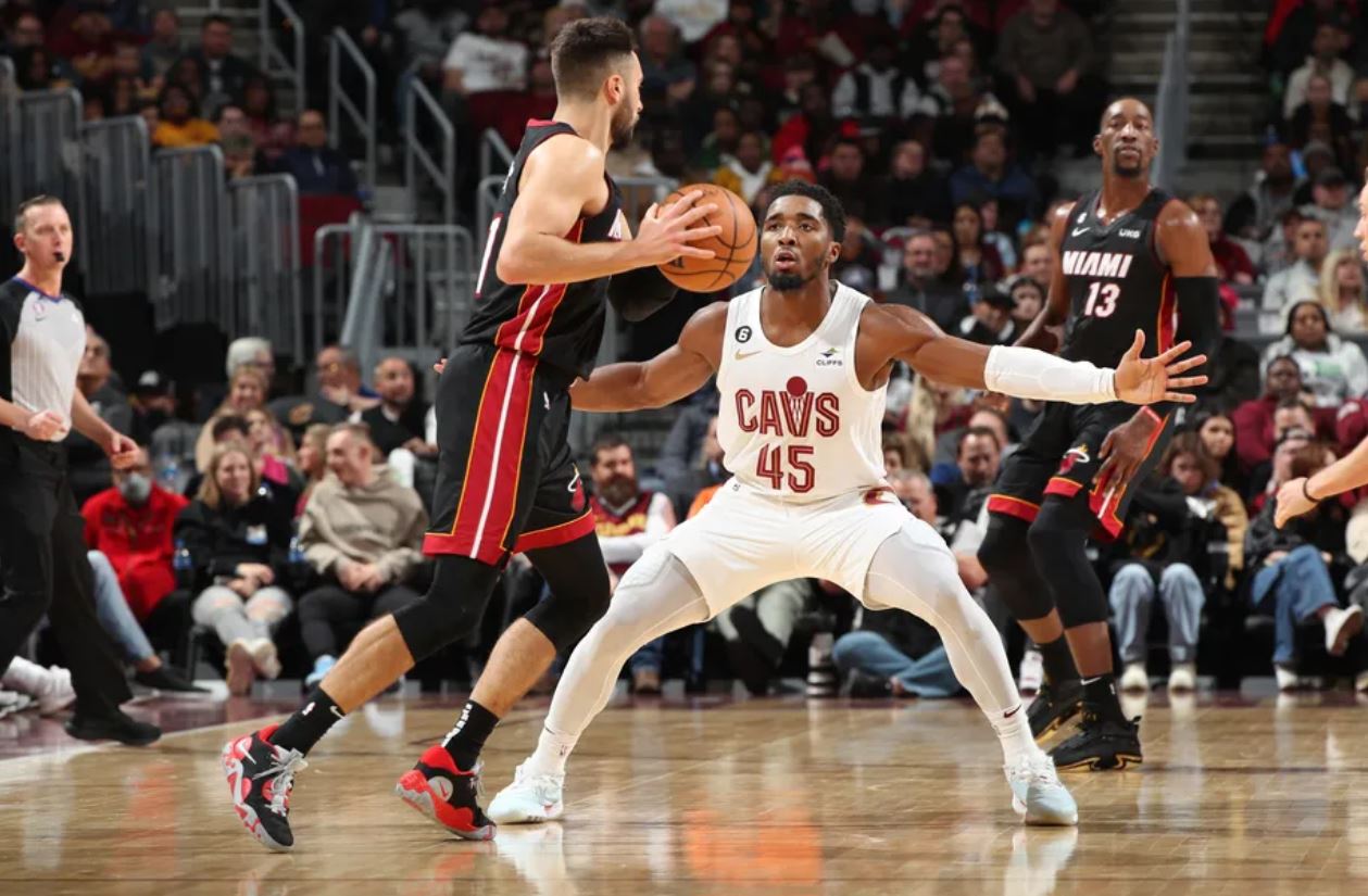 环节表现活 环节表现活