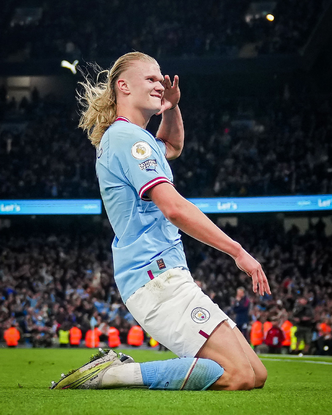 最后一个细 最后一个细